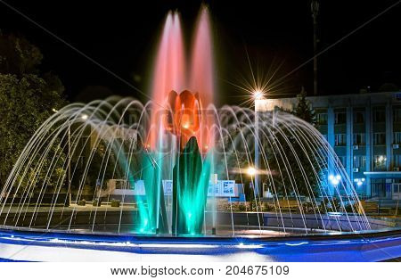 A beautiful illuminated city fountain A Red Tulip Flower at night