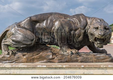 Mysore India - October 27 2013: Closeup of dark brown bronze statue of aggressive lioness in front garden of Mysore Palace under cloudscape.
