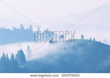 beautiful foggy summer sunrise landscape in the mountains, east Europe travel, Carpathian national park, west Ukraine, beeauty world, wallpaper background landscape