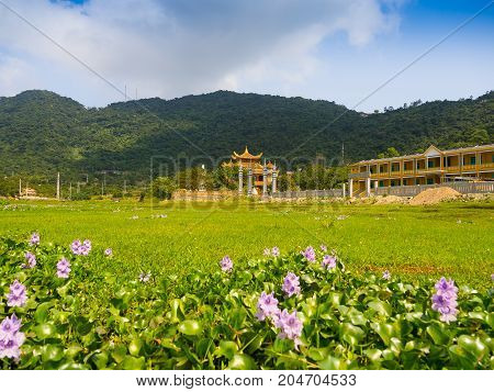 HOIAN, VIETNAM, SEPTEMBER, 04 2017: Beautiful view of an ancient temple in the horizont, with some green grass in the front, at hoian town in a sunny day in Vietnam.