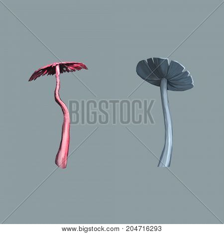 To compose your own art. Illustration of mushroom.