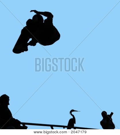 Skateboard