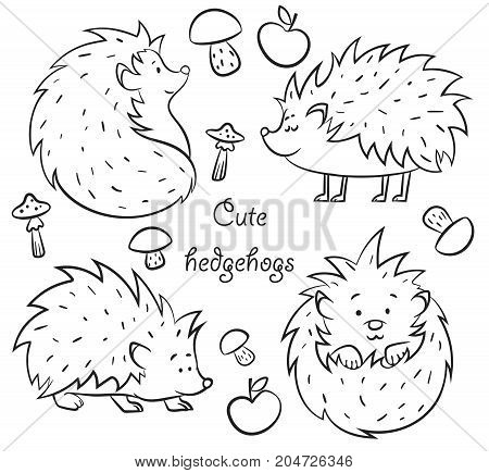 Four Cute Hedgehogs set hand drawn vector illustration outline