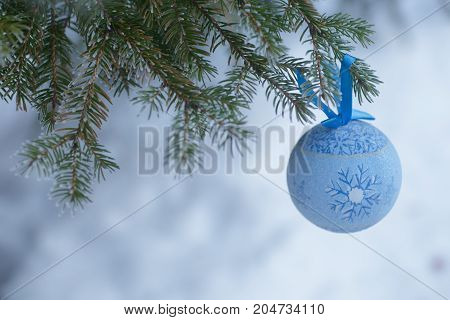 A Blue Fur-tree Toy On A Branch Of Blue Fir-tree Blue, Green, White, Colorado Blue Spruce, Picea Pun