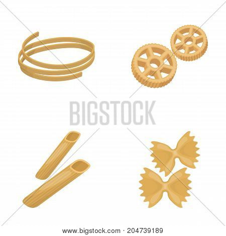 Different types of pasta. Types of pasta set collection icons in cartoon style vector symbol stock illustration .