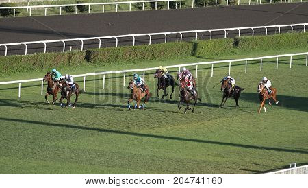 Istanbul Horse Race
