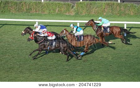Istanbul Horse Race