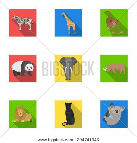 Ostrich emu, crocodile, giraffe, tiger, penguin and other wild animals. Artiodactyla, mammalian predators and animals set collection icons in flat style vector symbol stock illustration .