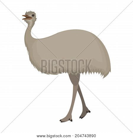 Bird, ostrich emu.African wild ostrich single icon in cartoon style vector symbol stock illustration .