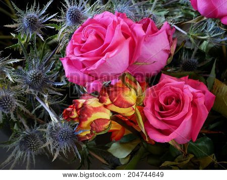 pink and red tipped yellow Roses with Sea holly bouquet