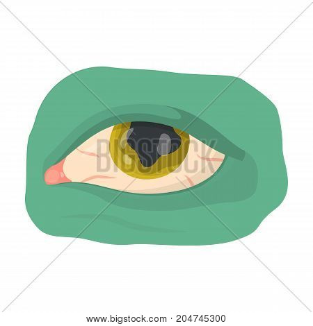 Eye single icon in cartoon style.Eye, vector symbol stock illustration .