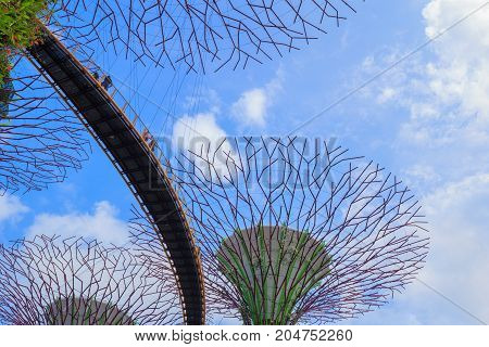 Unidentified Tourist Visited Skyway Of Gardens By The Bay At Singapore