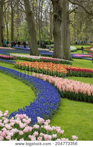 LISSE NETHERLANDS - APRIL 19 2017: Visitors at the Keukenhof Garden in Lisse Holland Netherlands.