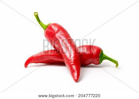 Red hot chili pepper isolated on white background. Spice for a delicious meal.