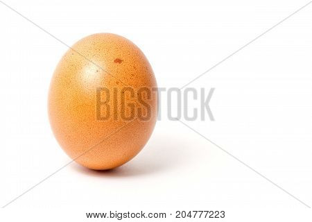 Chicken egg isolated on white background. Healthy food.