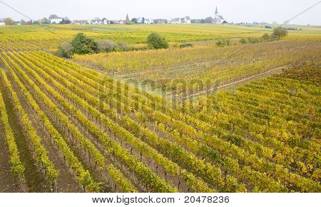 Hochheim, Rheingau, Saksa