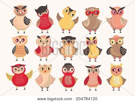 Collection of cute colorful owls decorated with different ornaments. Set of funny cartoon forest birds standing in various position isolated on white background. Colored vector illustration