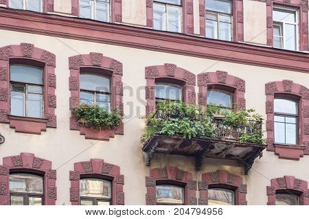 Green flowers on balcony on fashionable facade of old european building. Fancy appartment in town