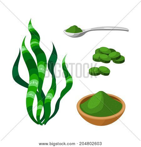 Superfood fruit. Kelp grass and powder spirulina . Vector illustration cartoon flat icon isolated on white.