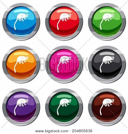 Marmoset monkey set icon isolated on white. 9 icon collection vector illustration