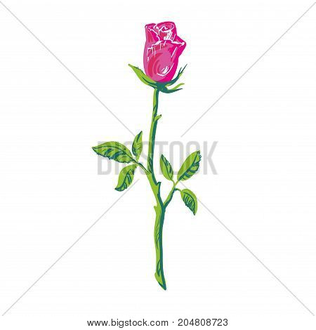 Universal Roser icon to use in web and mobile UI, ecology basic UI element. Silhouette rose icon. Rose icon isolated on white background.