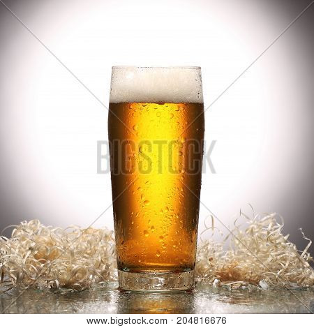 Glass Of Fresh Lager Beer On Light Studio Background With Reflection