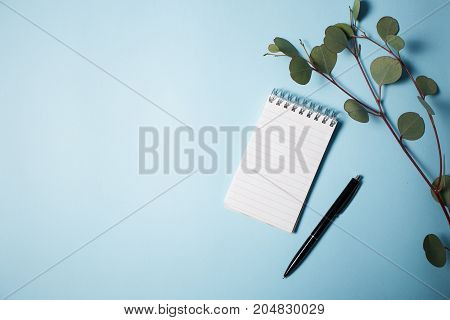 Notepad with pen and eucalyptus branch on a blue background