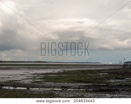 Beautiful Estuary Scene Outside Ground Stream Tide Out