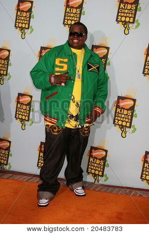 LOS ANGELES - MAR 29:  Sean Kingston arriving at the 2008 Nickelodeon's Kids' Choice Awards at UCLA Pauley Pavilion on March 29, 2008 in Westwood, CA