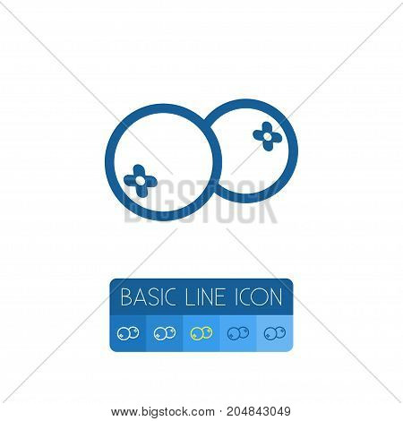 Cranberry  Vector Element Can Be Used For Mooseberry, Cranberry, Berry Design Concept.  Isolated Mooseberry Outline.