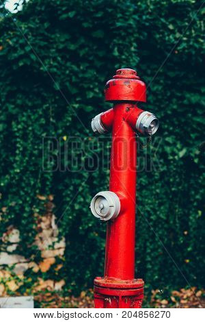 Safety measures. Fire protection. Red fire hydrant surrounded by green grass