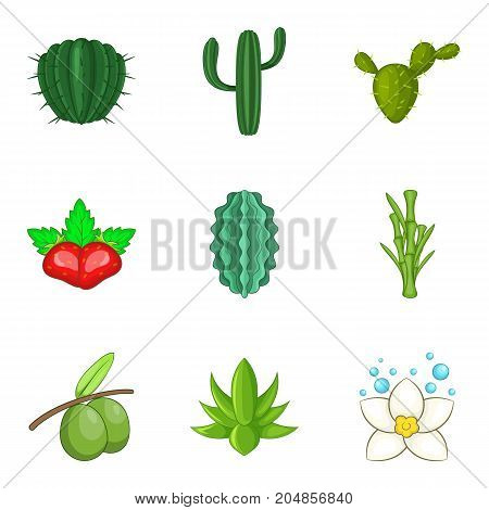 Vegetation icons set. Cartoon set of 9 vegetation vector icons for web isolated on white background