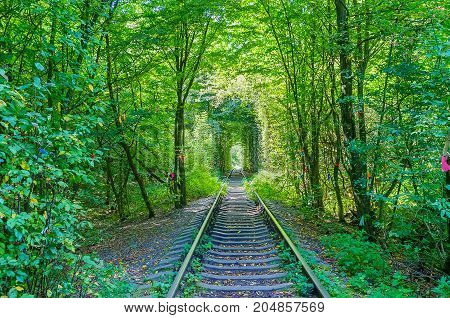 The Tunel Of Love