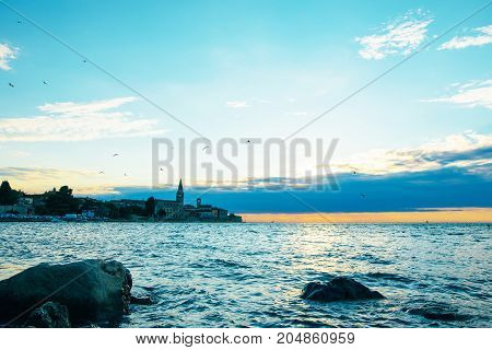 Sea Coast. Sea View. The Stony Coast Of The Adriatic Sea