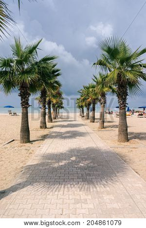 Palm alley to the Adriatic Sea in the resort area of Golem. Albania