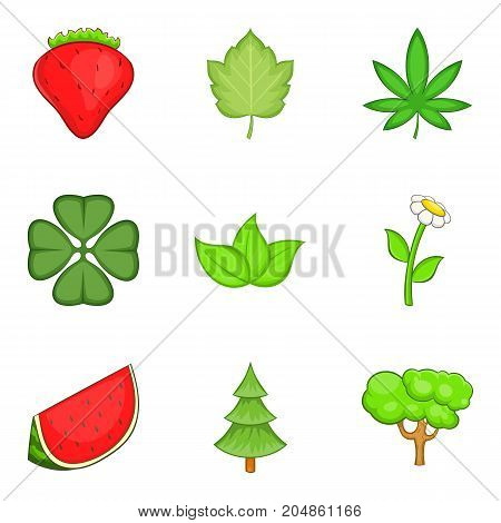 Effloresce icons set. Cartoon set of 9 effloresce vector icons for web isolated on white background