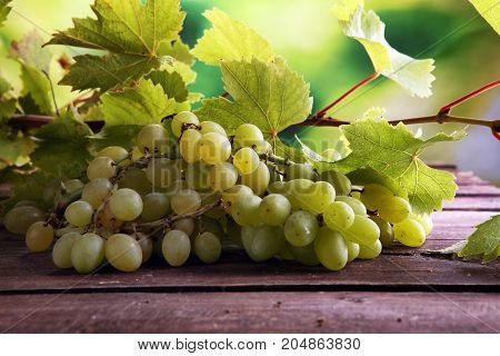 Grapes on wooden table and grape leaves . Healthy fresh fruit wine grapes.