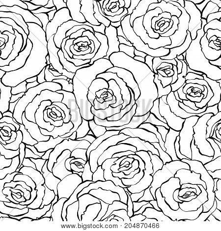Seamless Roses Lineart Black And White