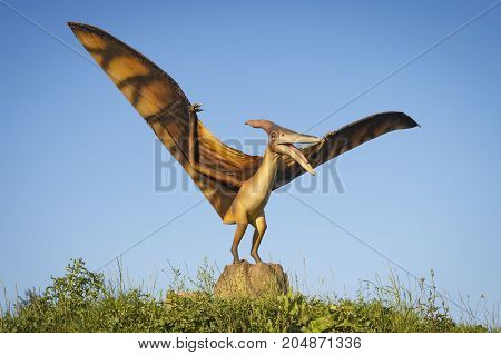 Minsk Belarus - September 17 2017: Realistic models of Pterodactyl dinosaurus in Dino Park