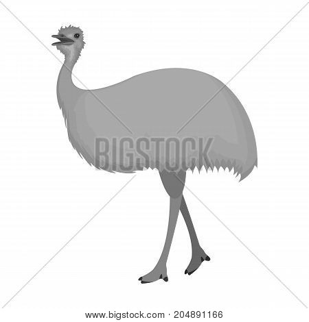 Bird, ostrich emu.African wild ostrich single icon in monochrome style vector symbol stock illustration .