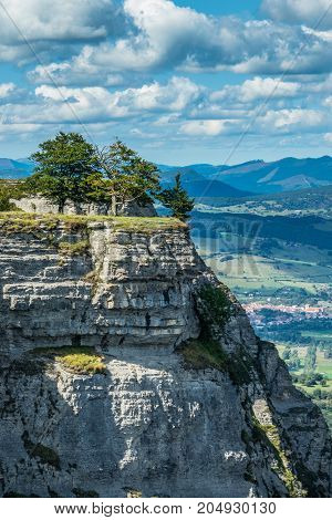 Trees over the cliff in Orduna Spain