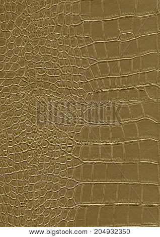 full frame scaled abstract brown reptile skin surface