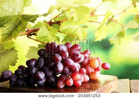 Grapes on wooden table and grape leaves . Healthy fresh fruit wine grapes.