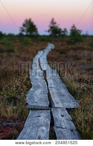 The path from the planks goes to the horizon in the marsh in sunset illumination