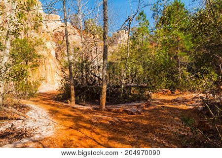 Red loamy and clay footpath the wall and thicket at bottom of the Providence Canyon in sunny autumn day USA