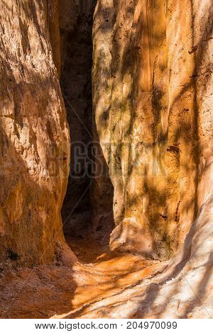 Crevice in the red loamy wall of Providence Canyon in sunny day USA