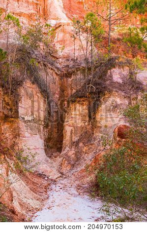 Red loamy wall of Providence Canyon with trees growing on it USA