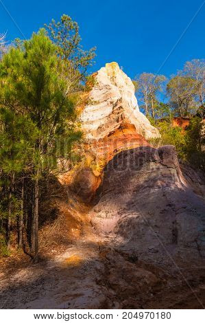 Red loamy cliff and wall of Providence Canyon with trees growing on it USA