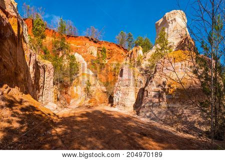 Red loamy floor and wall of Providence Canyon in sunny autumn day USA