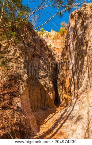 Crevice in the red loamy wall of Providence Canyon in sunny day USA